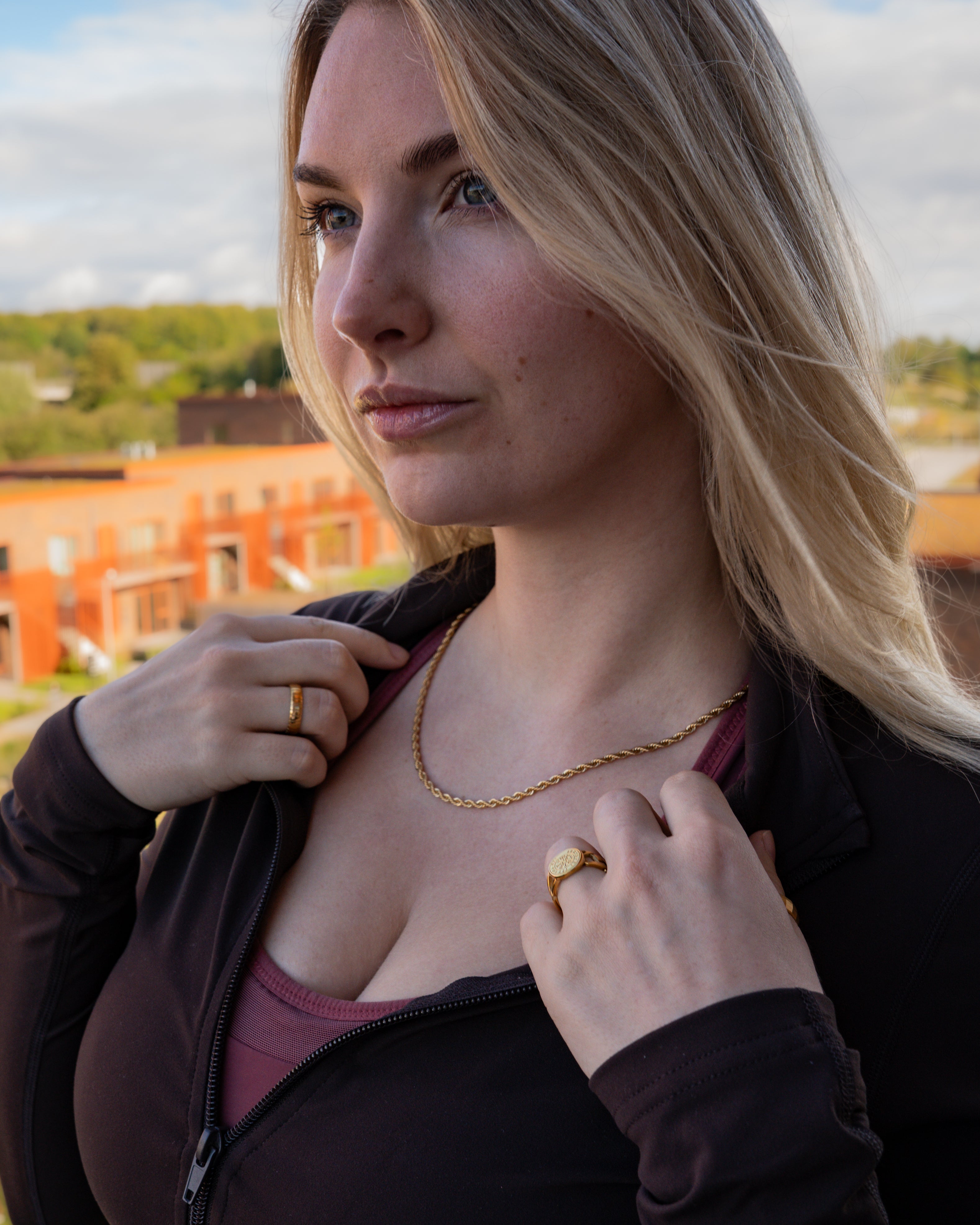 Vegvisir Chain Signature - Guldtbelagt ring