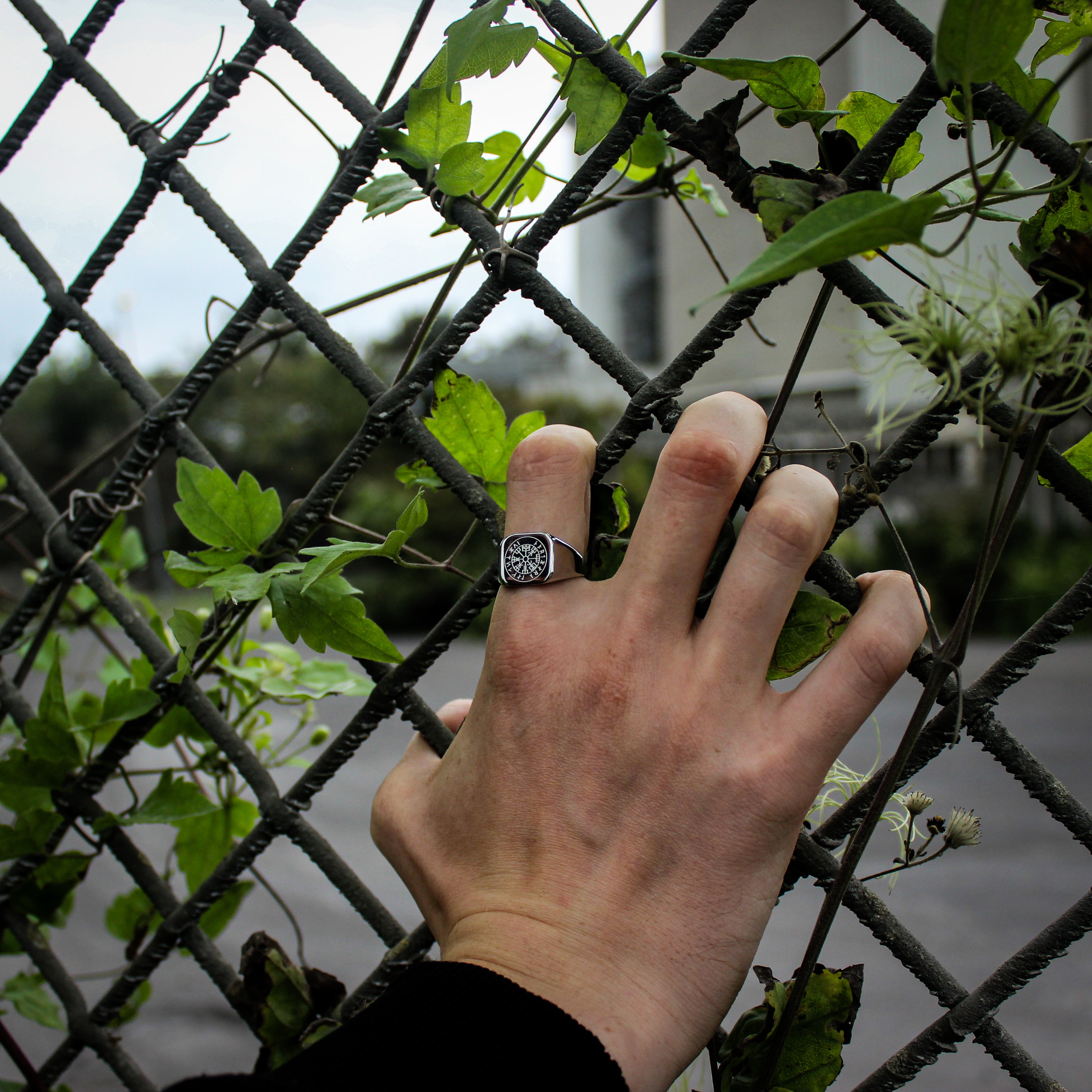 Vegvisir Signature - Sølvtonet ring