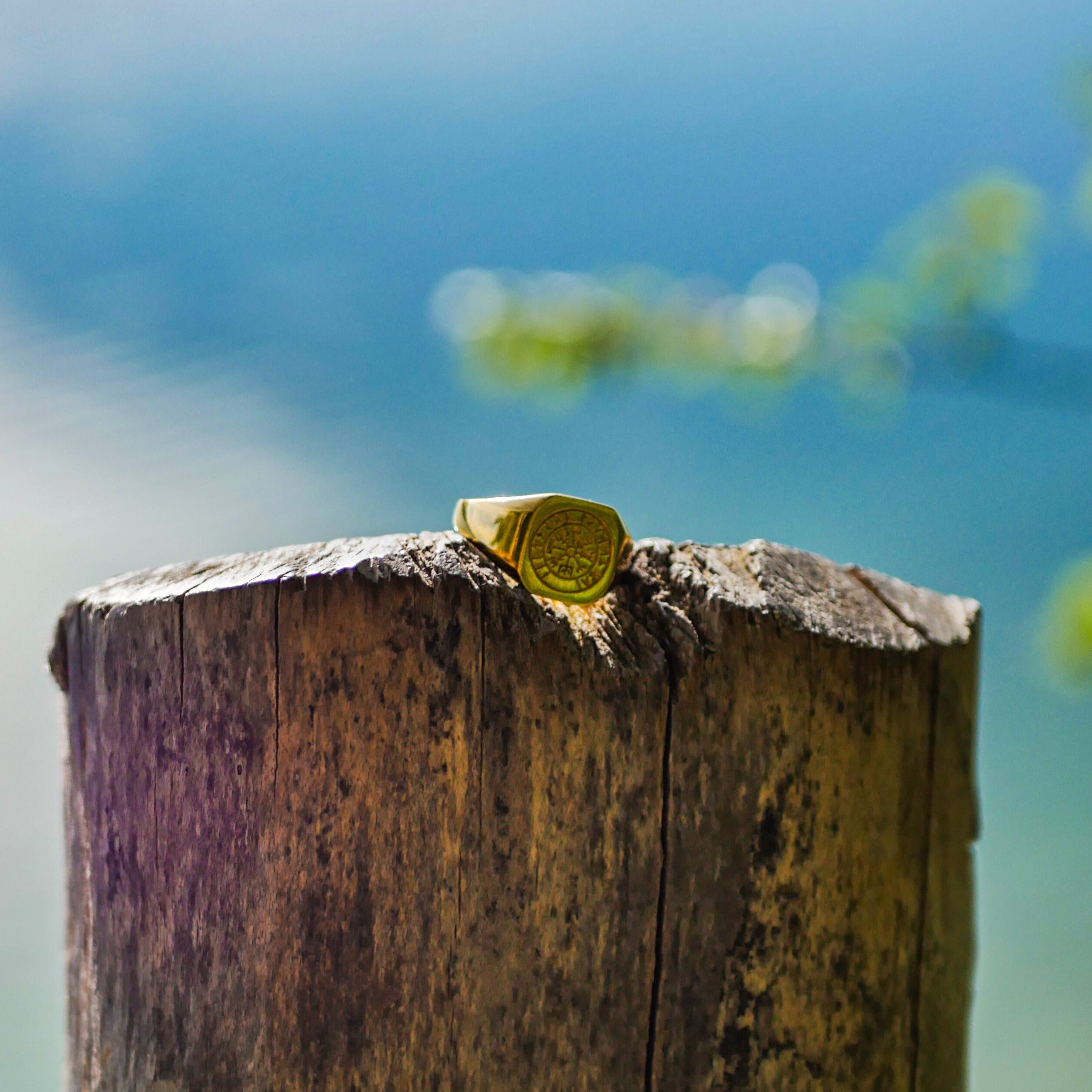 Vegvisir Signature - Guldtonet ring