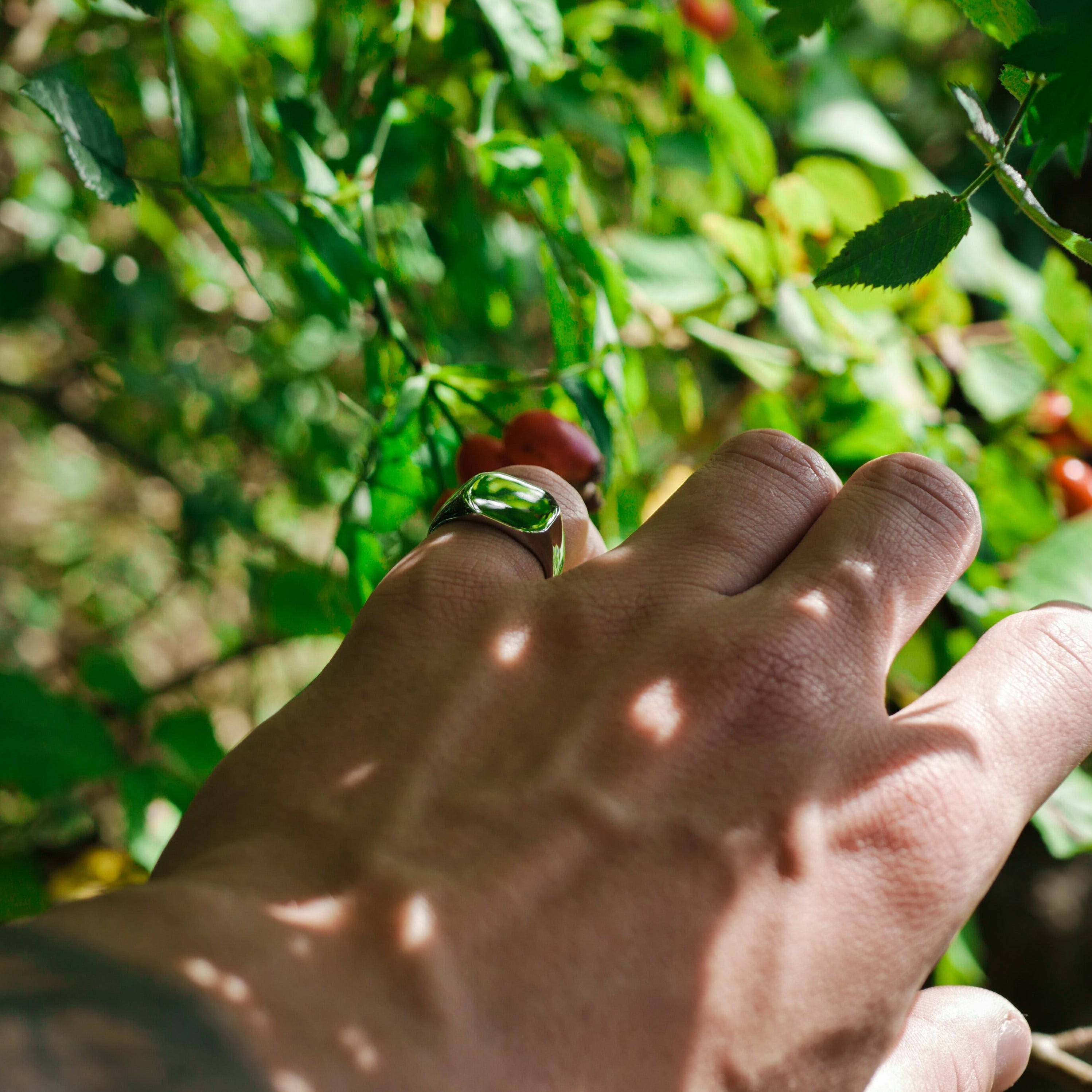 Classic Signature - Sølvtonet ring
