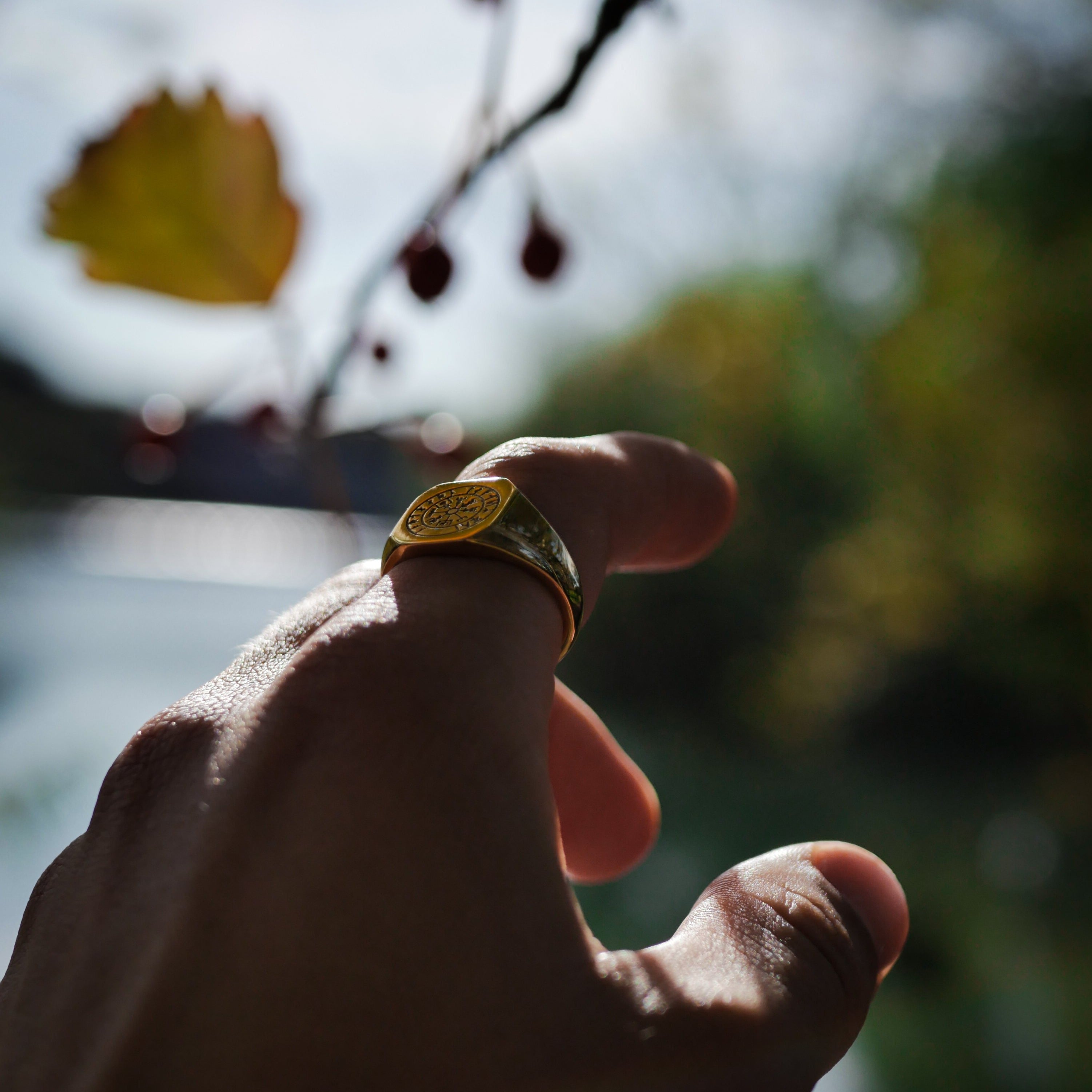 Vegvisir Signature - Guldtonet ring