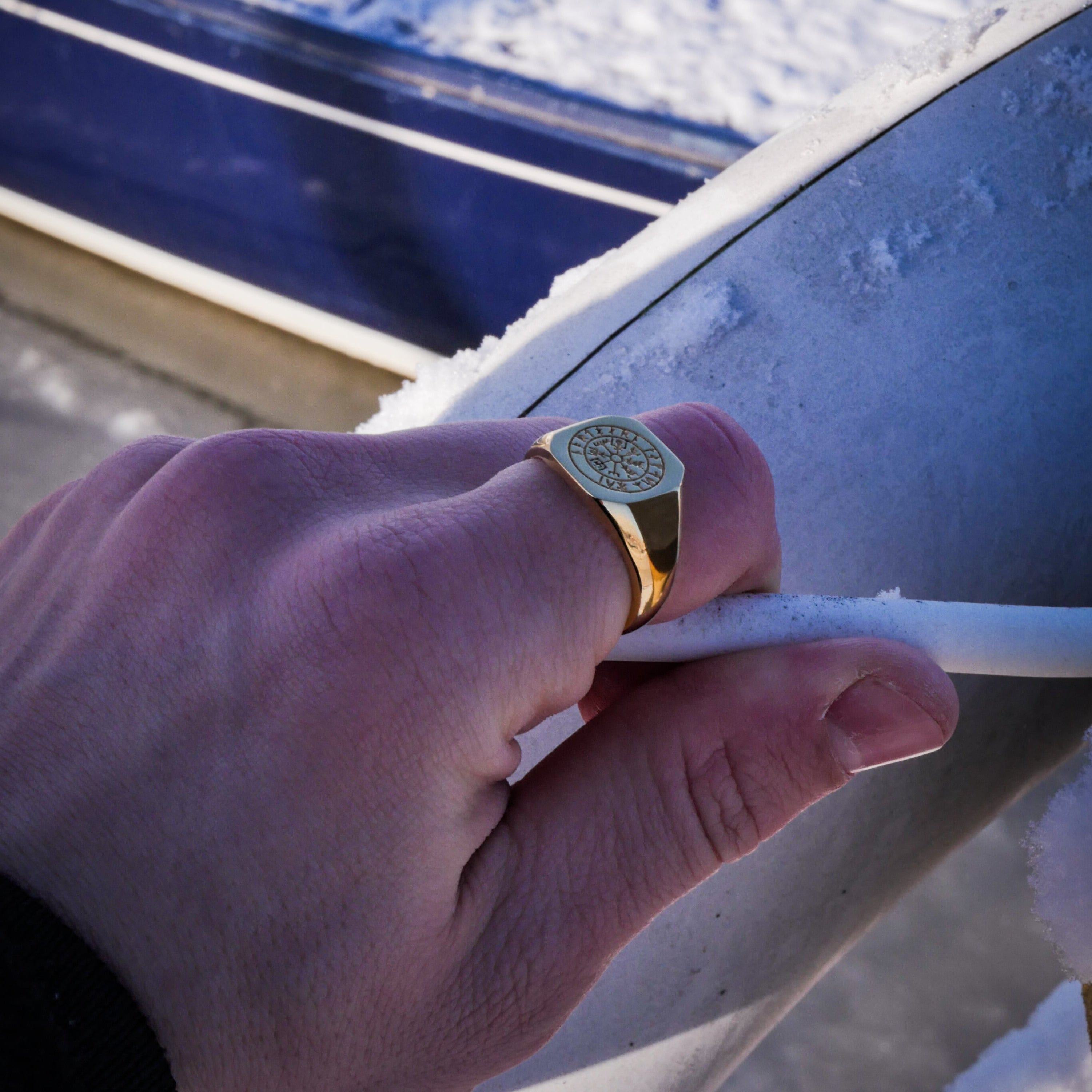 Vegvisir Signature - Guldtonet ring