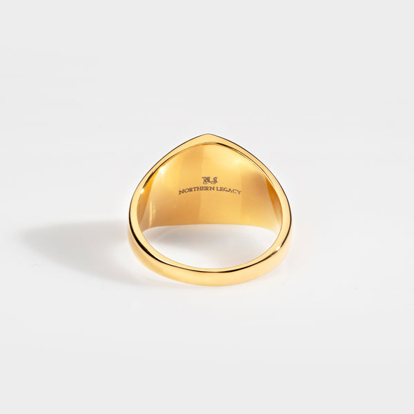 BLACK ONYX POLYGON SIGNET RING (GULD)