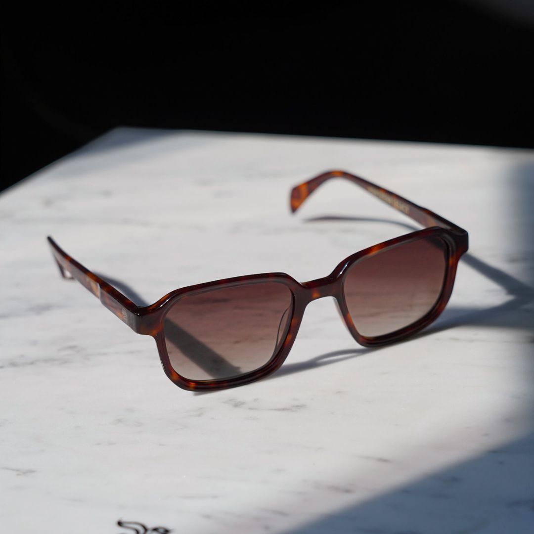 Vibrant solbriller - Turtoise brun/grå